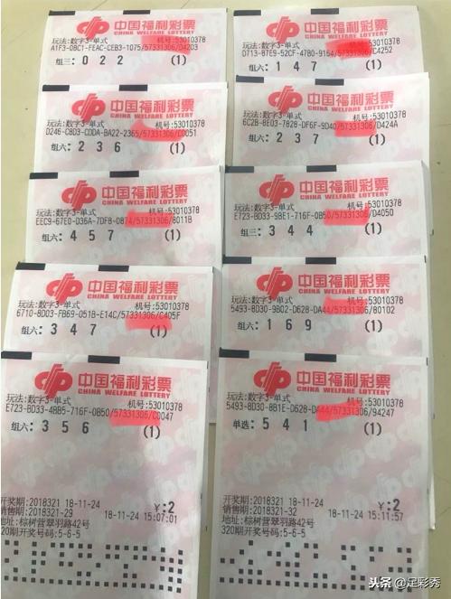 管家婆的资料一肖中特，揭秘背后的神秘与智慧管家婆1肖中特