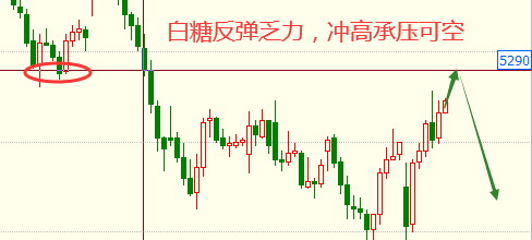 探索彩票奥秘，三D走势图近10年专业版解析,三d走势图近100期带连线专业版