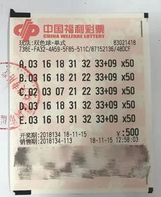 揭秘黄大仙六肖中特，期期的精准资料与理性分析黄大仙精准资料六肖