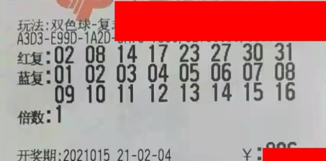 15034期双色球开奖结果揭晓，幸运数字照亮梦想之路,15035期双色球开奖结果