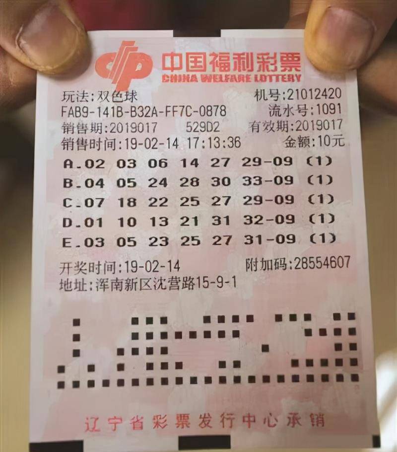 2014年双色球第3期，中奖开奖项的神秘揭晓,双色球22014期中奖开奖号码