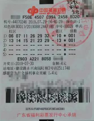 双色球40注的智慧与乐趣——探索彩票背后的理性投注之道,双色球40注