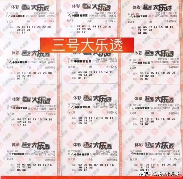 大乐透014期精彩晒票，梦想与幸运的碰撞，揭秘彩民们的激情瞬间,大乐透004期晒票