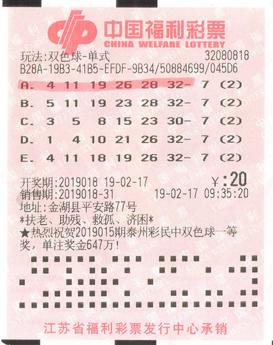 彩票双色球中奖奖金查询全攻略，揭秘背后的计算与惊喜,彩票双色球中奖奖金查询