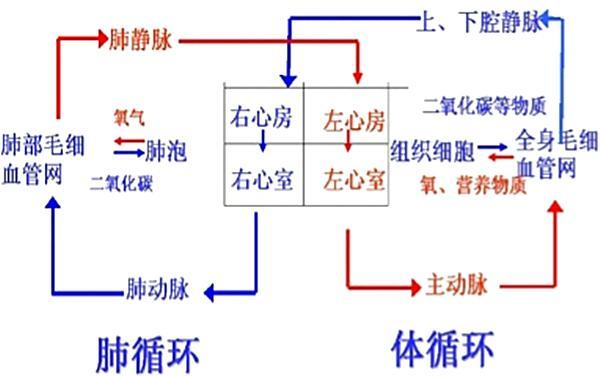 中奖秘籍