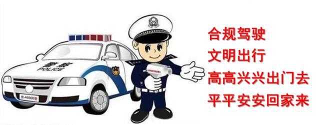 甘肃快三，揭秘热门号码的背后逻辑与推荐策略,甘肃快三重点推荐号码