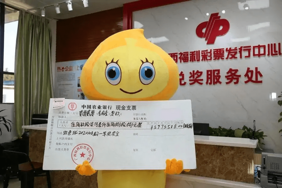 探索中国福利彩票双色球中奖规则，深度解析与查询指南,中国福利彩票双色球中奖规则查询结果