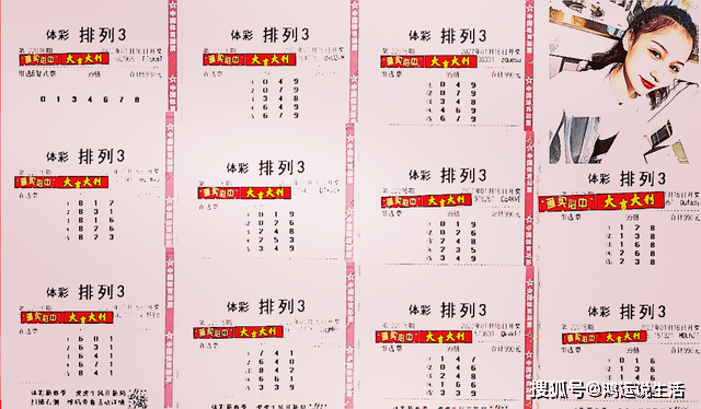 星尔宇彩店胜负预测，理性与智慧的博弈,星尔宇彩店胜负彩预测