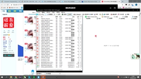 今日3D试机号列表，深度解析与实战应用,3d试机号列表今天