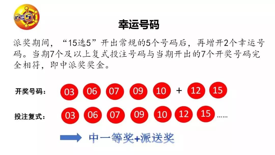 中国福利彩票15选五中奖的奇妙之旅,中国福利彩票15选5中奖