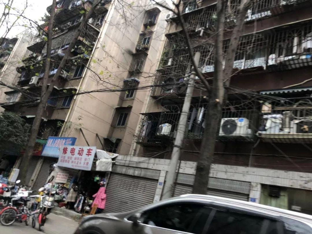 广东十一选五