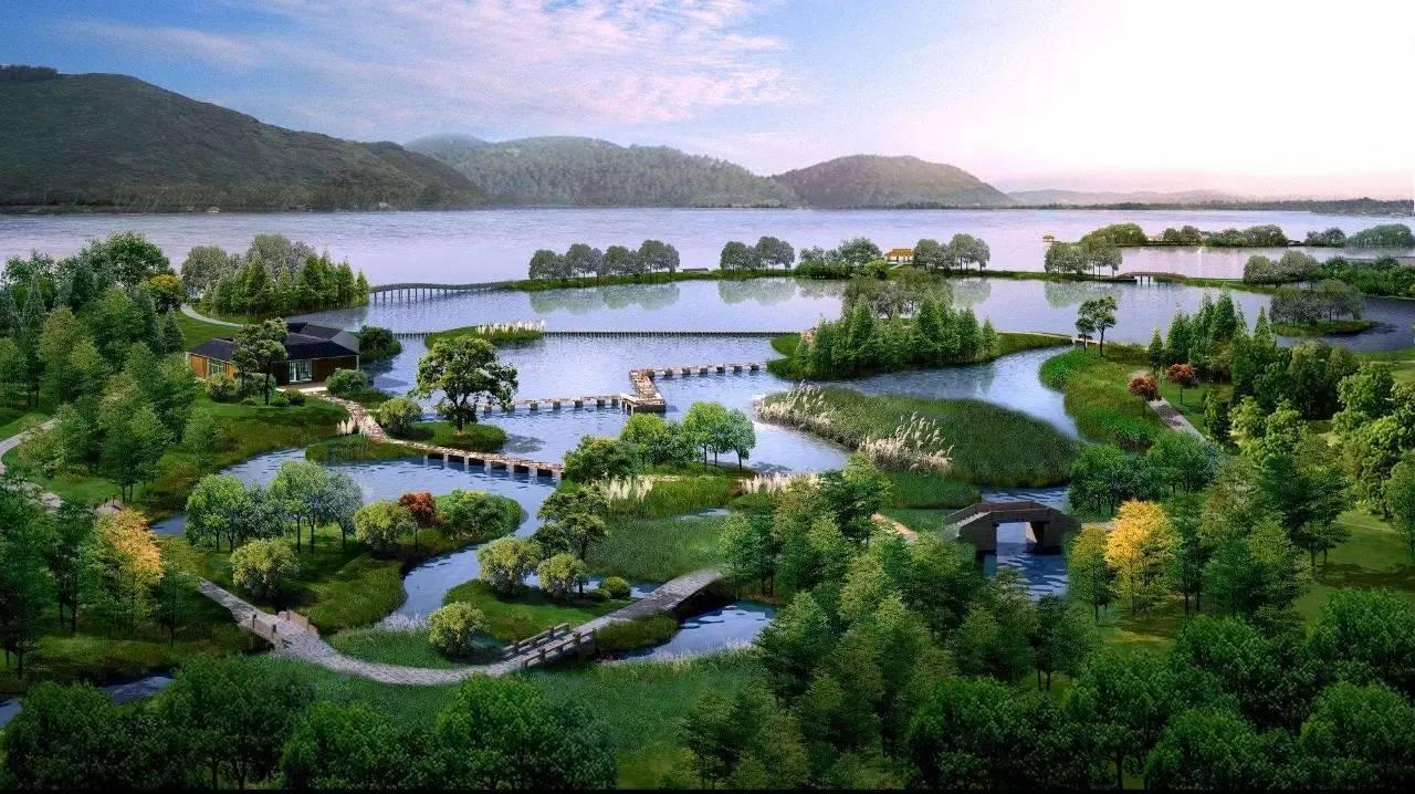 浙江风采网2超长版，探索江南水乡的独特魅力与文化底蕴,浙江风采网2超长版