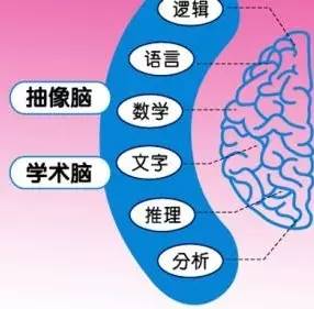 探索3D布衣图库的45629真精华，解锁时尚与创意的新境界,3d布衣图库44462真精华
