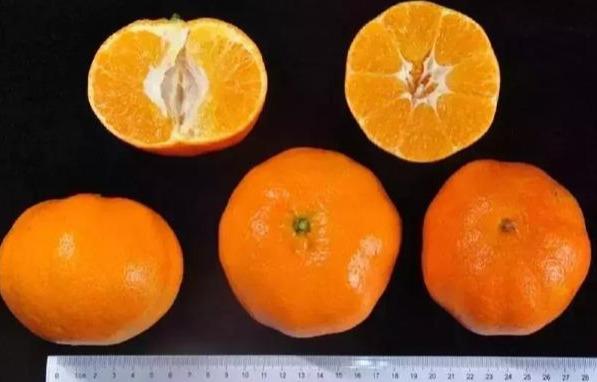 浙江10选5，最新开奖结果查询指南,浙江11选五的开奖结果最新查询
