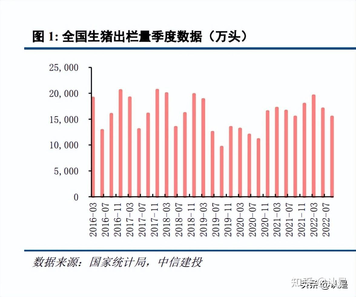 今日全国生猪价格表，市场动态与影响因素深度剖析,今日全国生猪价格表