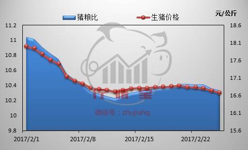 澳门六开彩资料