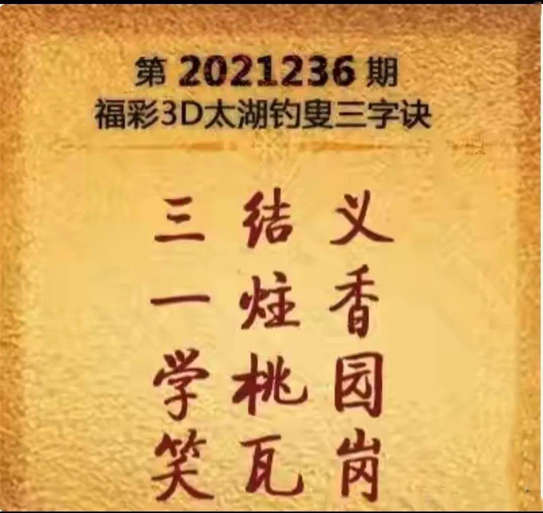 探秘太湖试机号，一场数字与谜语的奇妙之旅,太湖试机号后谜语