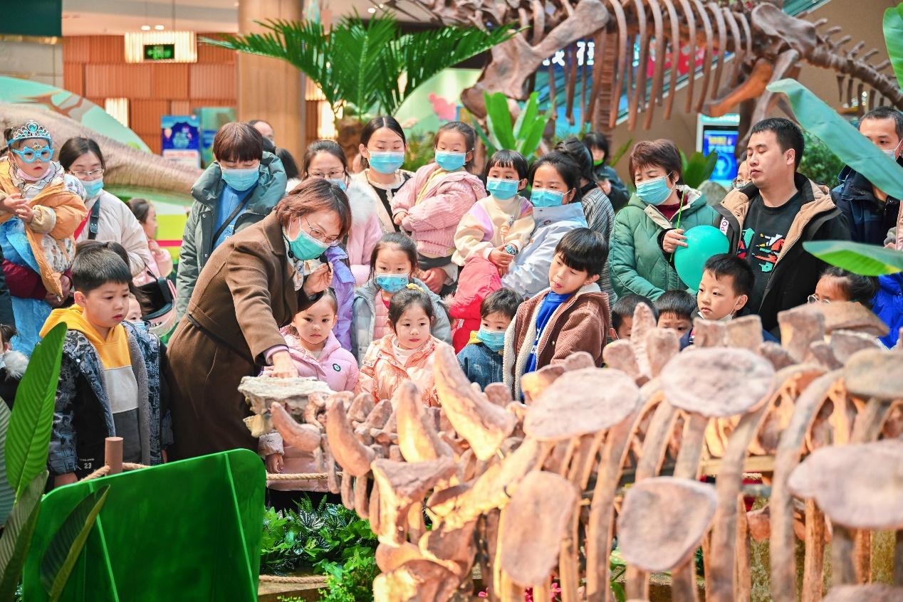 最近观看记录，探索影视世界的奇妙之旅,最近观看记录