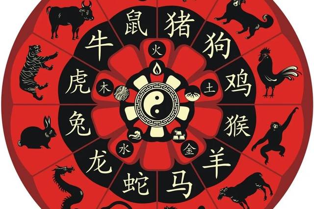 揭秘马会开奖结果,从概率到策略的全面解析香六港彩开特马号码186