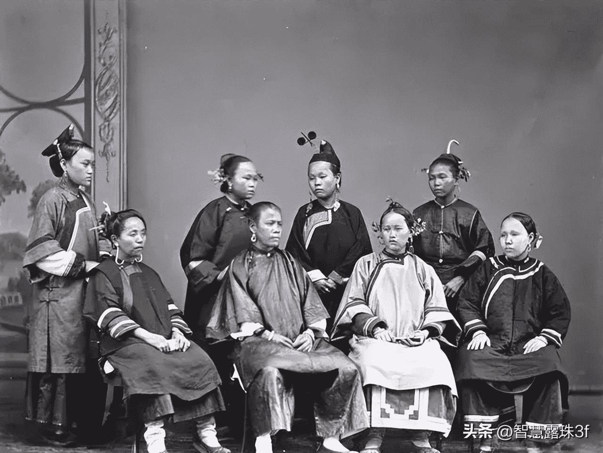 探索1876年彩票的神秘面纱，揭秘CC码中特现象1877cc8码中特好跑狗