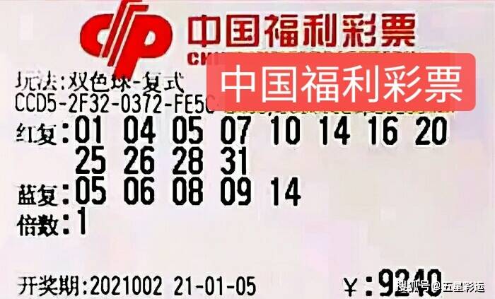 今晚新澳开奖，2013年8月，揭秘数字与幸运的碰撞新澳今晚开什么号码