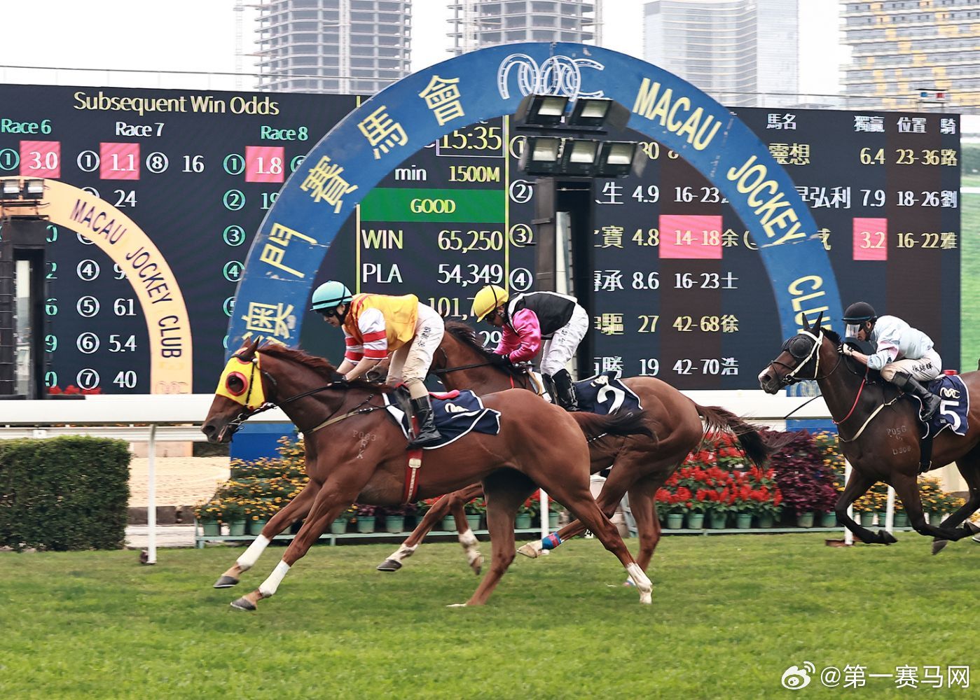2019年马会全年免费资料，一场未雨绸缪的智慧盛宴2019年马会免费大全
