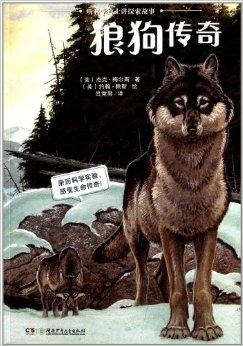 探索小狼狗高手论坛，网络文化的新兴阵地小狼狗高手论坛官网