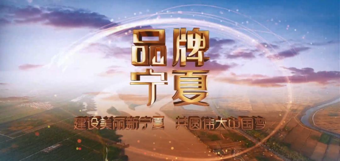 汐若初见 第62页