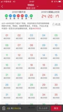 吉利平肖，解码中国彩票文化中的平和智慧吉利平肖平码论坛永久域名