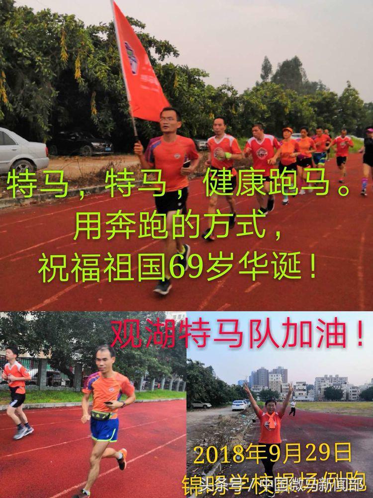 2019年今晚特马结果，一场数字与梦想的碰撞2019今晚特马开多少号结果