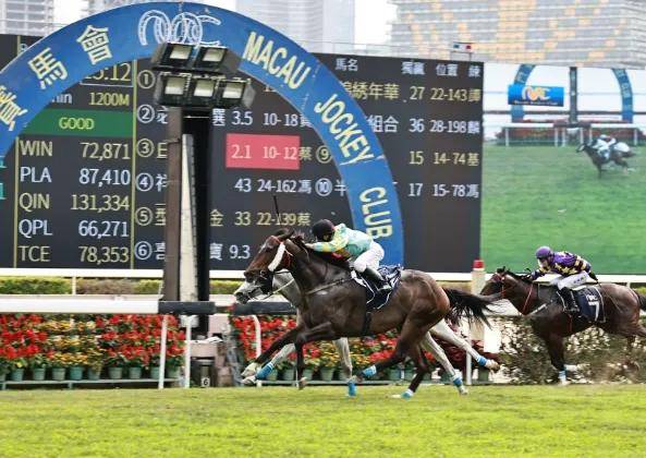 探索香港马会现场开奖的独特魅力与文化底蕴