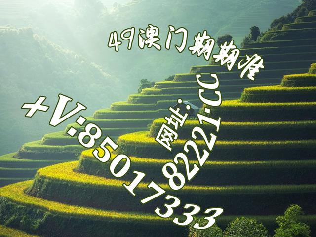 探索真实之美 这里才是真的红姐图库深度解析这里才是真的红姐图库红姐奉劝大家早点