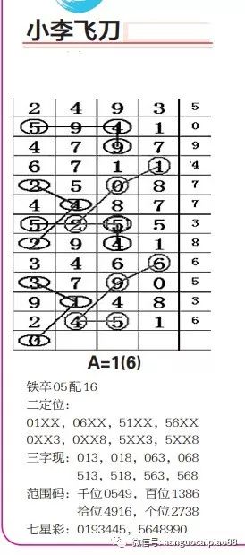 探索南国七星彩图规，揭秘传统与现代融合的独特魅力七星彩南国彩票特区吧图规