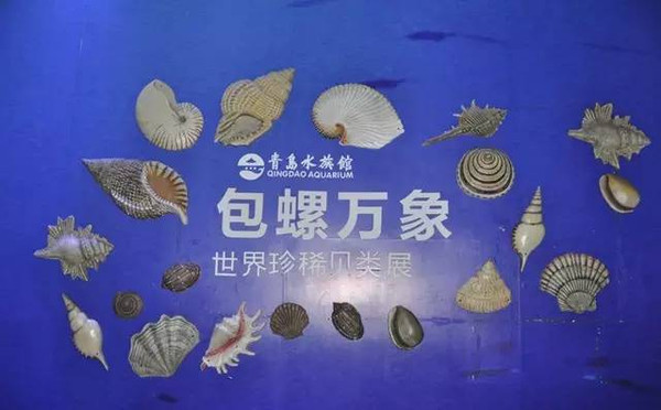 探索知识海洋，正版免费资料大全943的奇妙之旅正版免费资料大全下载