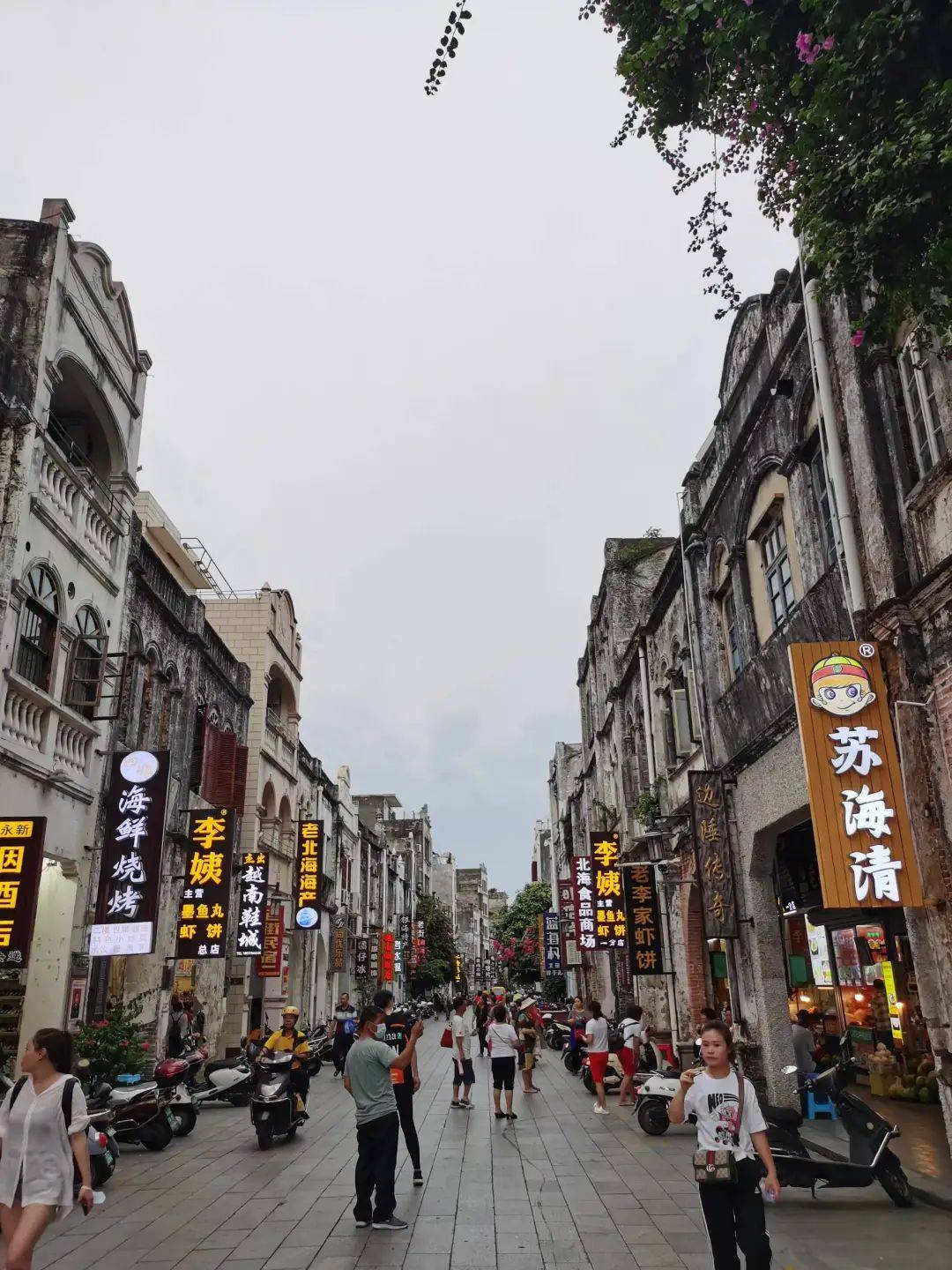 澳门1876-20世纪初，历史变迁与文化交融的璀璨篇章澳门1877资料大全15