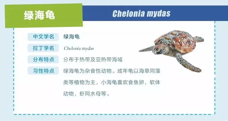 探索知识海洋