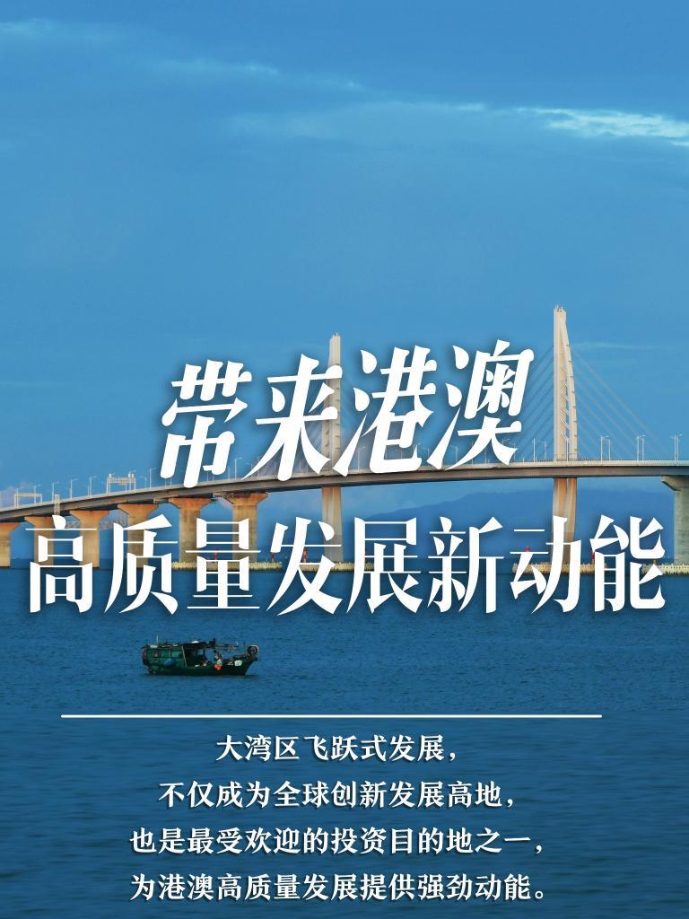 2049，新澳门开奖的未来展望与文化传承2024新澳门开奖结果开奖号码