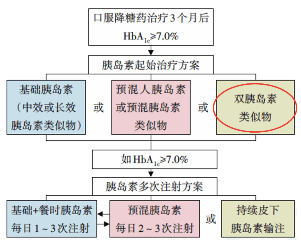 澳门开奖新纪元，204年最新结果查询指南新澳门开奖结果2024开奖记录查询官网今天