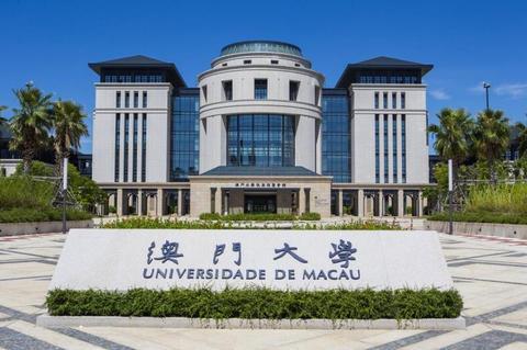 澳门彩，揭秘49选6的魅力与策略澳门资料库49
