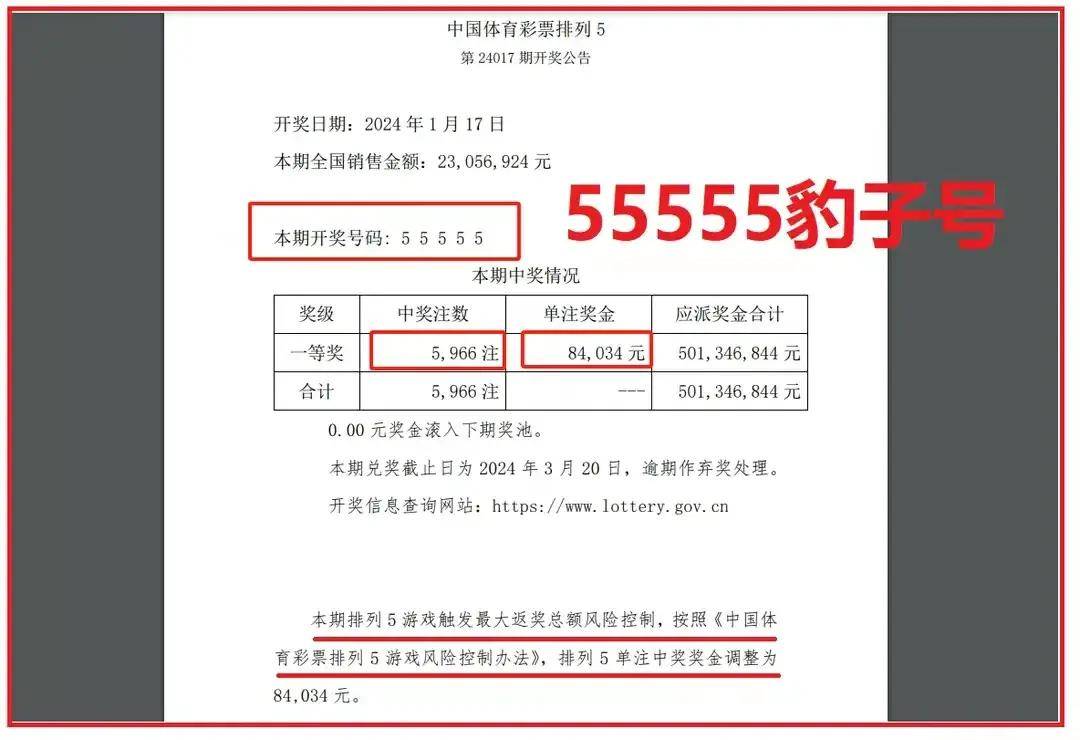 澳门彩市，49，一个数字的魅力与期待494949今晚开奖结果号码