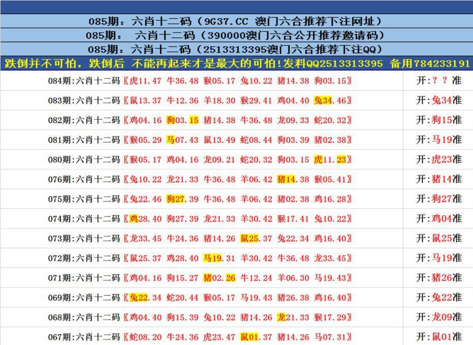 一、不仅仅是号码组合四肖八码精选资料汇集香港