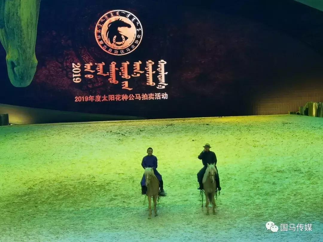 今晚六给彩12月30日第5期开奖结果揭晓，香港彩票的魅力与影响香港今晚六给彩开奖结果113期5678