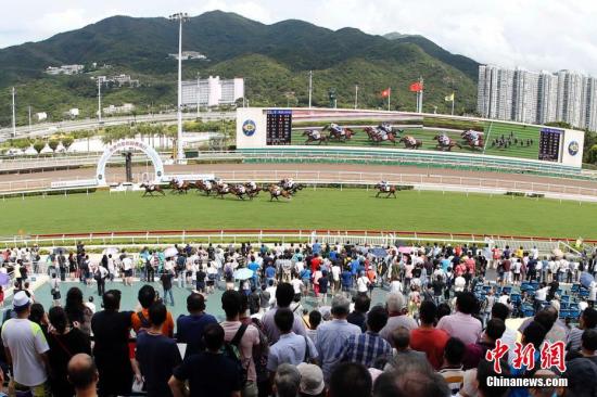 探索香港马会免费资料大全，解锁赛马的奥秘与乐趣