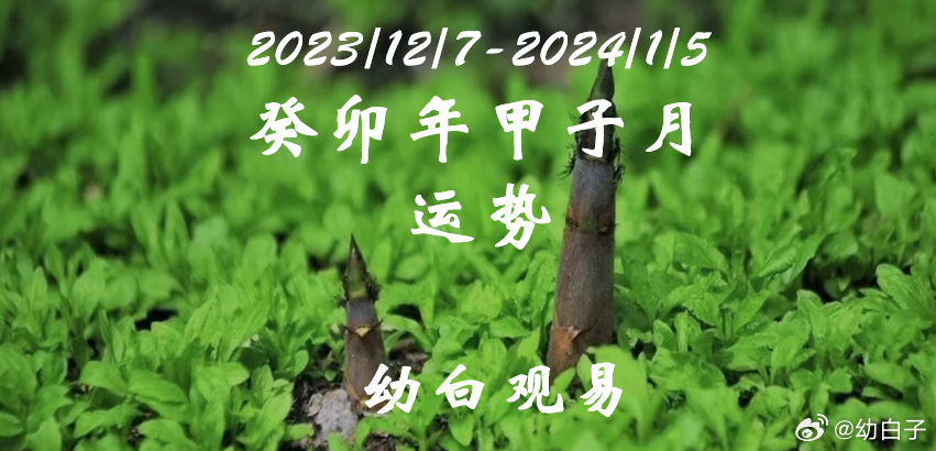 2048年，管家婆一肖中特—未来彩票的神秘面纱与理性思考老版管家婆142期
