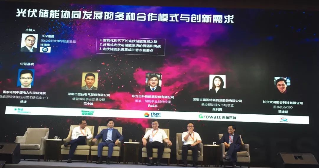 2046年，管家婆的马资料—未来赛场上的智慧之选管家婆24马精选