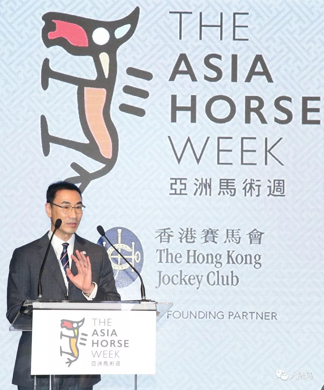 探索香港正版马会资料，一场关于智慧与机遇的盛宴香港正版马会免费资料大全