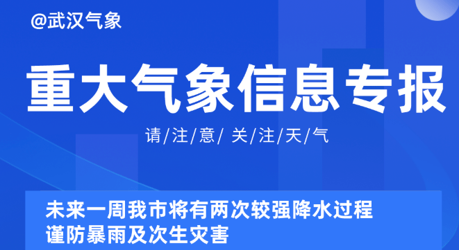 新澳管家婆资料203，全面解析与未来展望