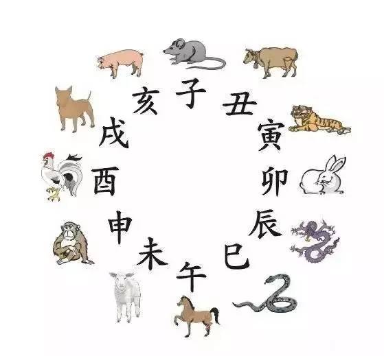 今晚必中一码—2019年生肖与幸运的奇妙邃合今晚必中一码一肖开奖结果