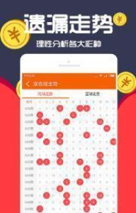 探寻白小姐一码中期期开奖结果，揭秘彩票的魅力与风险白小姐一码中期期开奖结果查询2024年