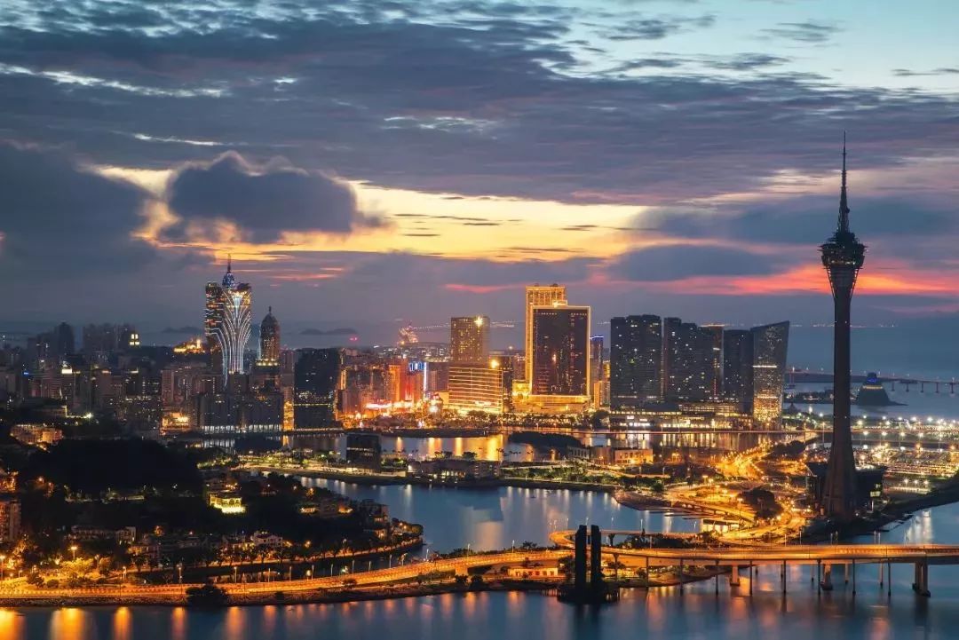 2049年澳门免费资料查询新纪元,探索与利用的智慧之旅2024年澳门免费资料查询结果水果奶奶